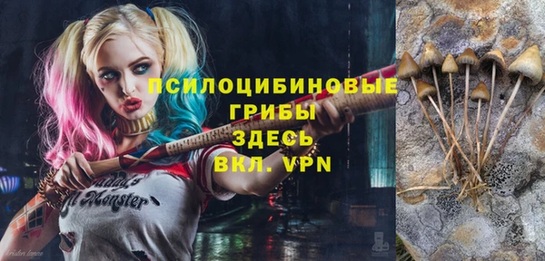 прущие грибы Белоозёрский
