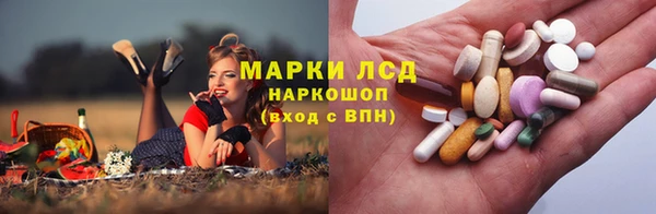 гидропоника Лагань