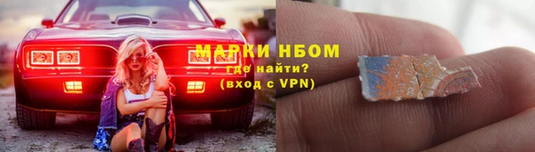 прущие грибы Белоозёрский