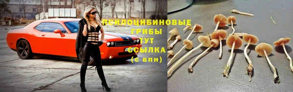 не бодяженный Беломорск