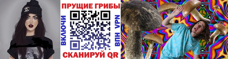 Галлюциногенные грибы Psilocybine cubensis  цена наркотик  Корсаков 